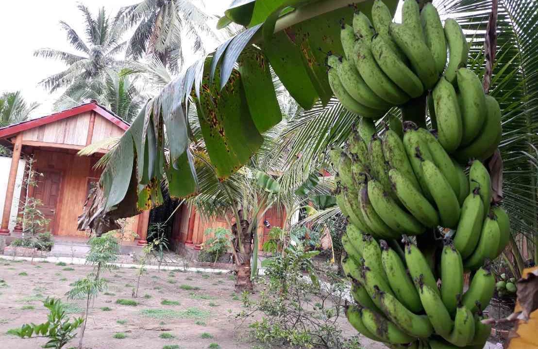 Photo of Outdoor in Mo Cay Nam