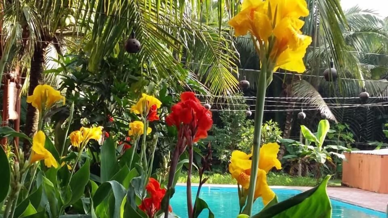 Photo of Outdoor in Mo Cay Nam