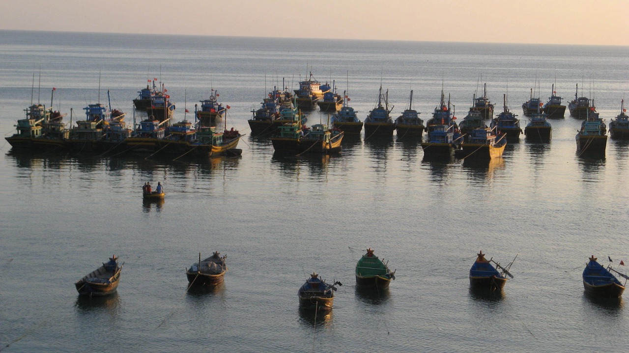 Photo of Others in East Ham Tien Beach