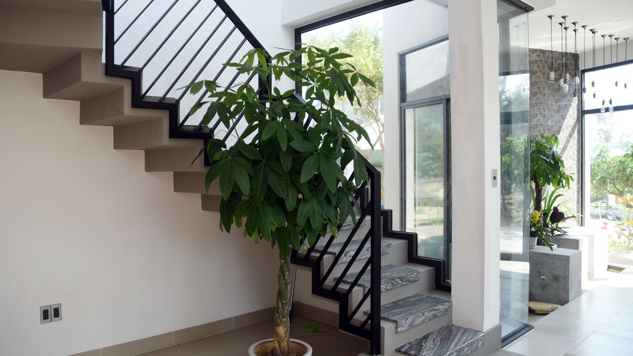 Photo of Livingroom in Tam Ky
