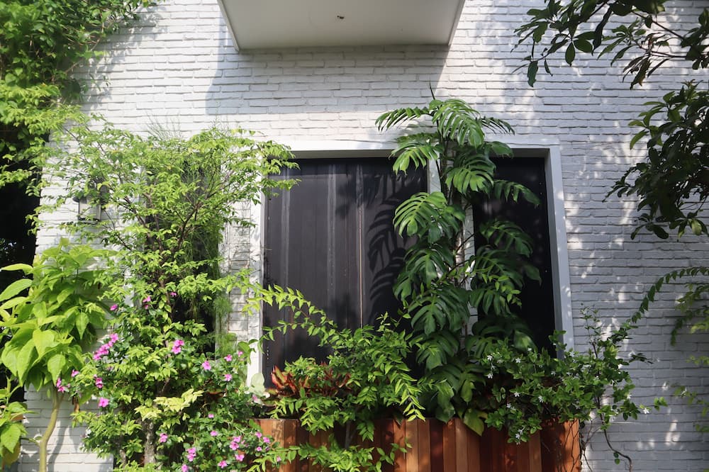 Photo of Outdoor in Hoa Thanh