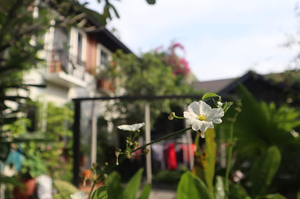 Photo of Others in Hoa Thanh