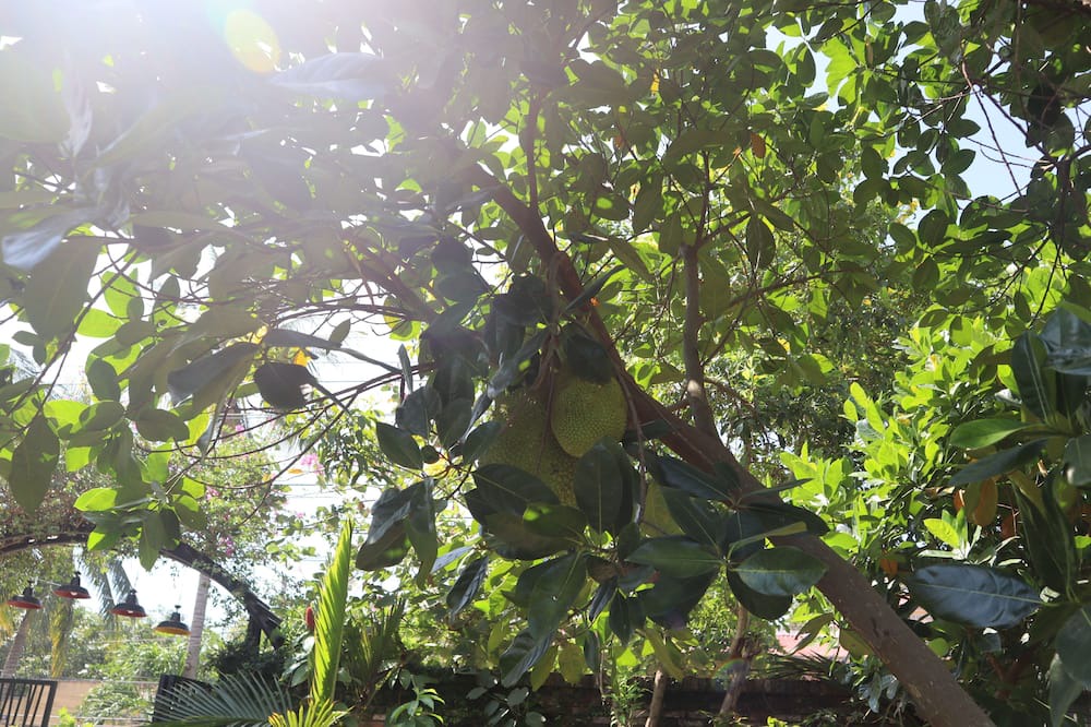 Photo of Outdoor in Hoa Thanh