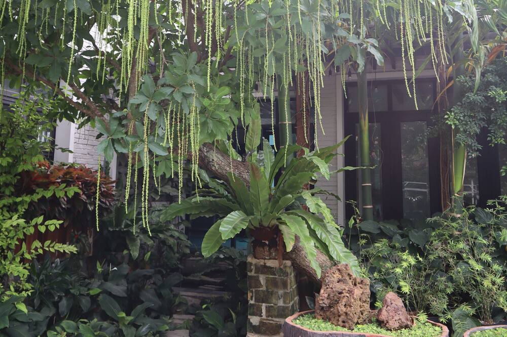 Photo of Outdoor in Hoa Thanh