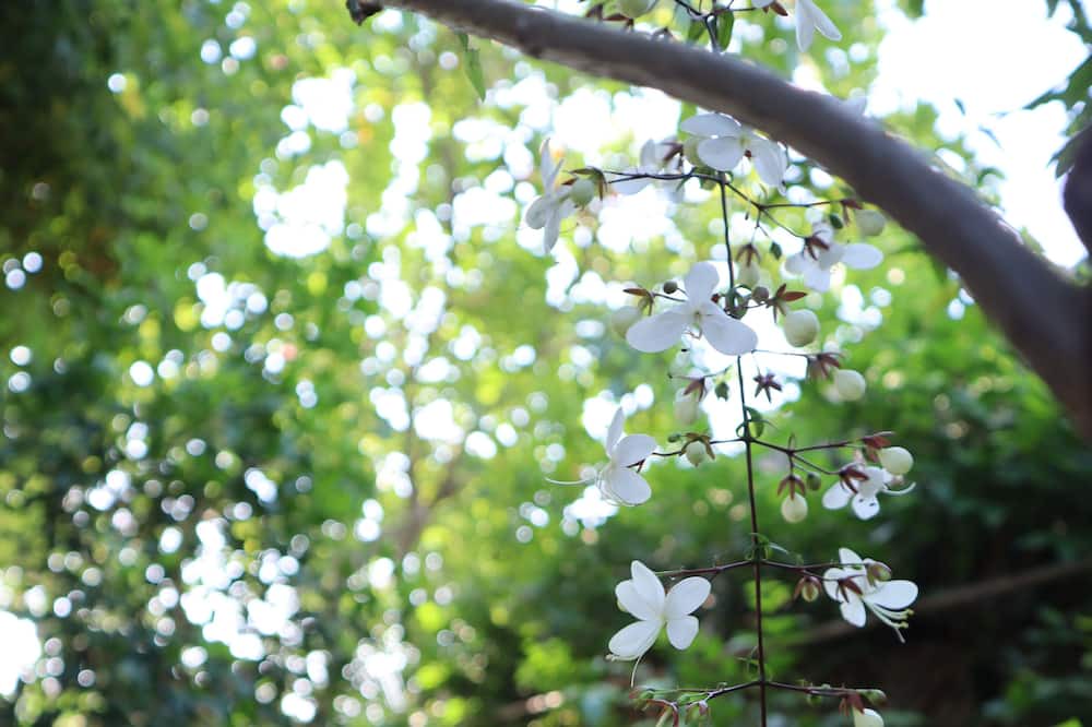 Photo of Outdoor in Hoa Thanh