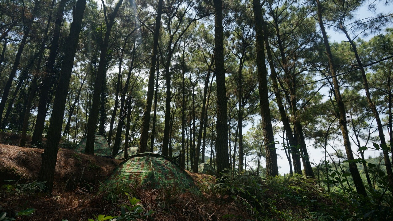 Photo of Outdoor in Soc Son