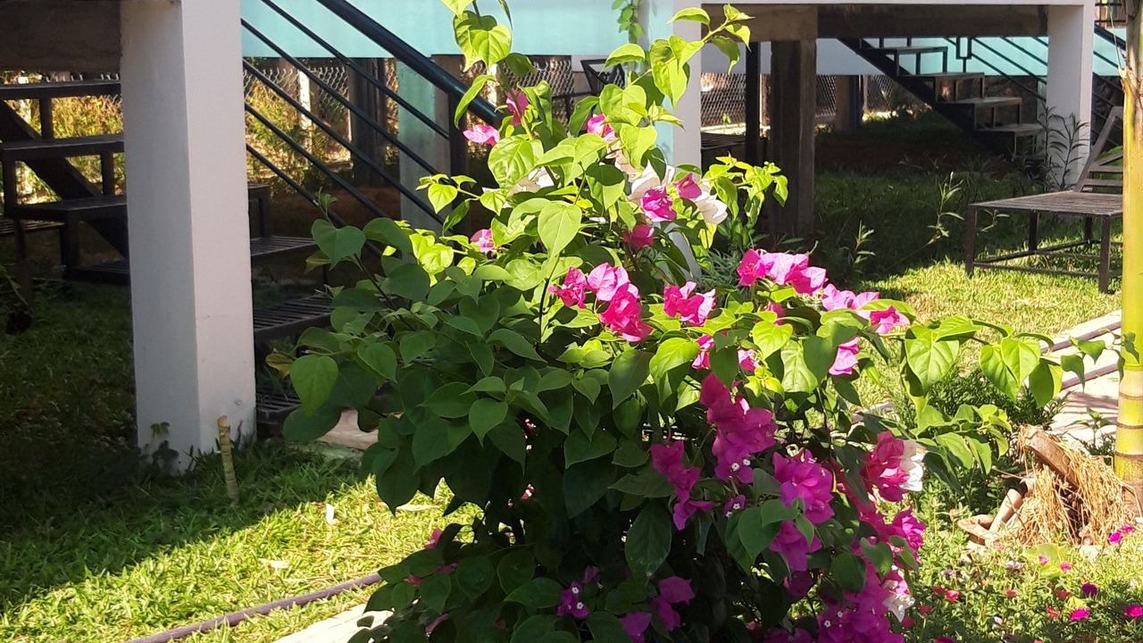 Photo of Outdoor in Bo Trach