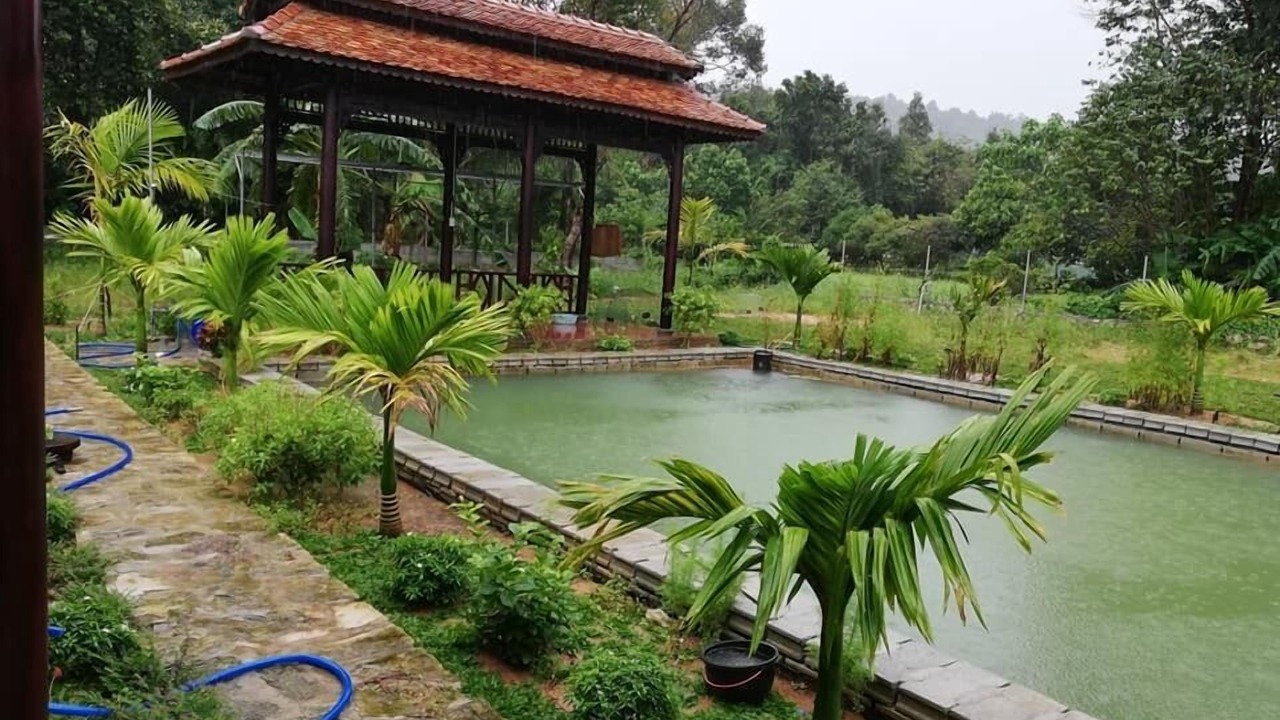 Photo of Outdoor in Cua Lap