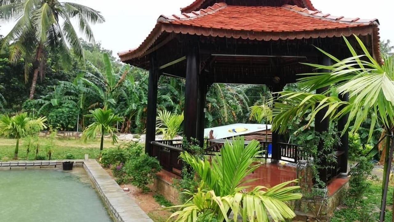 Photo of Outdoor in Cua Lap
