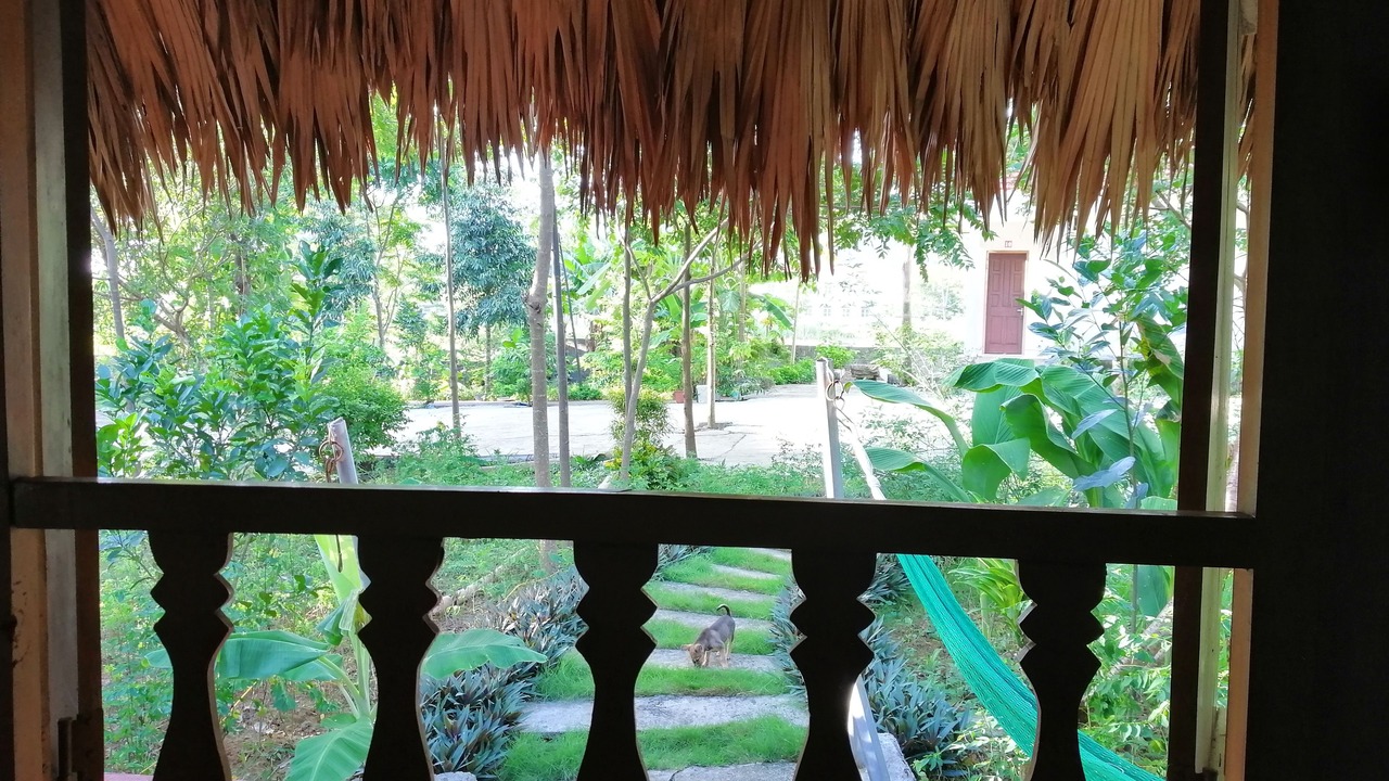 Photo of Outdoor in Nho Quan