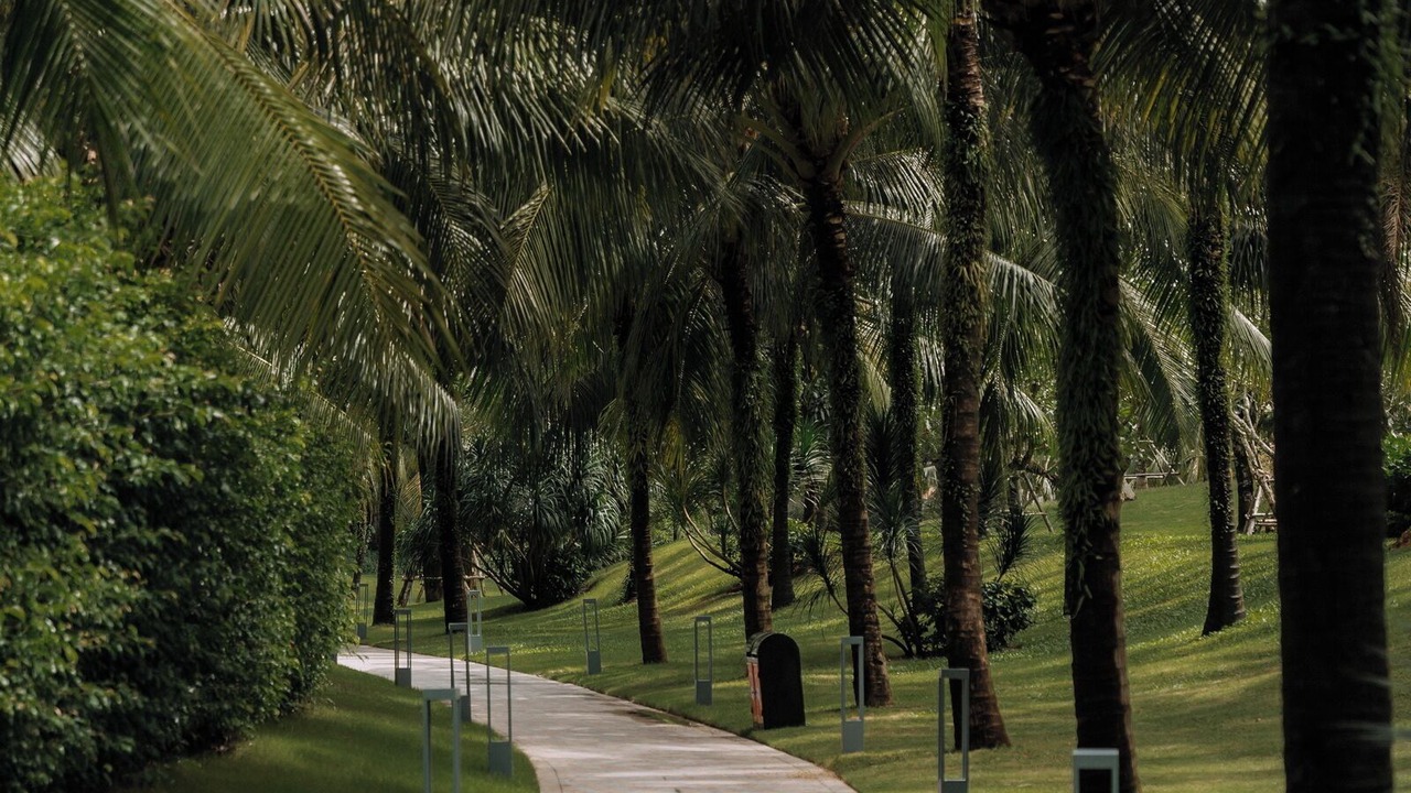 Photo of Outdoor in Ganh Dau