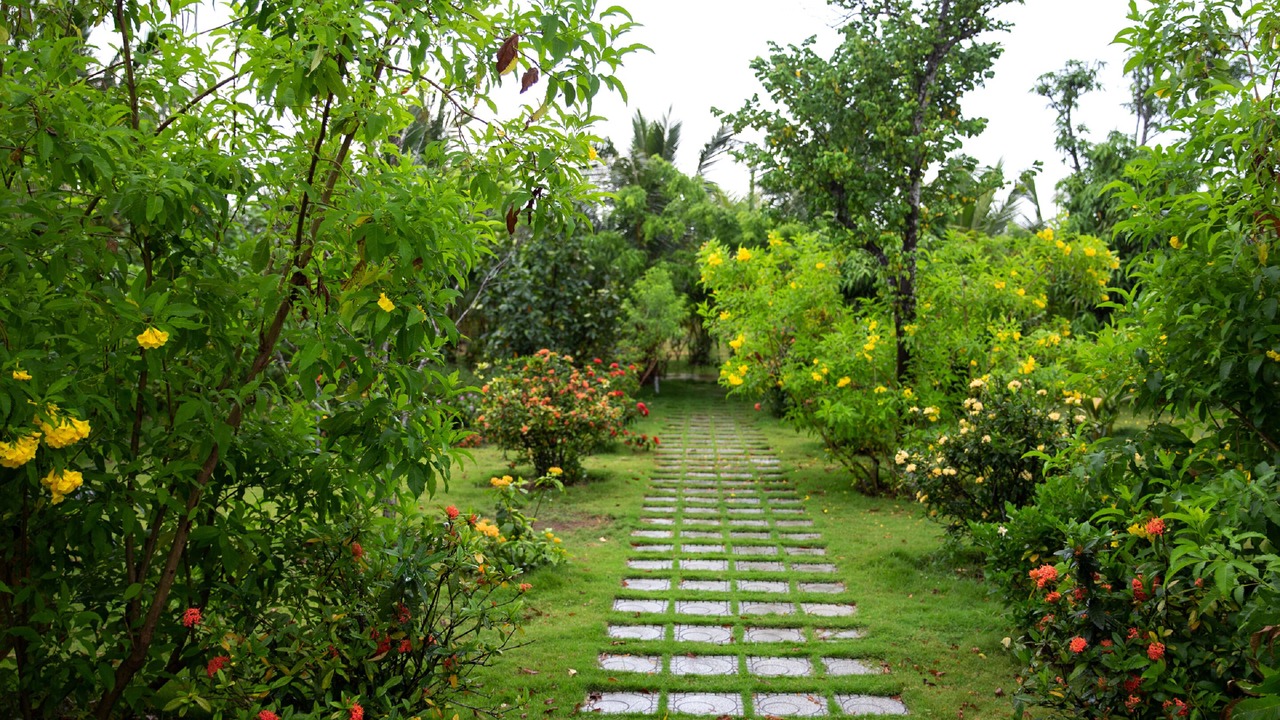 Photo of Bedroom in Bao Ninh