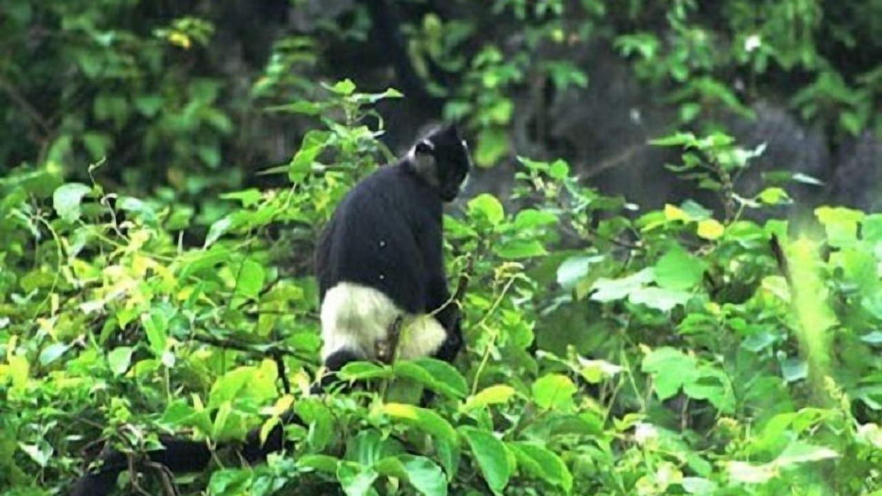 Photo of Others in Đong Thanh