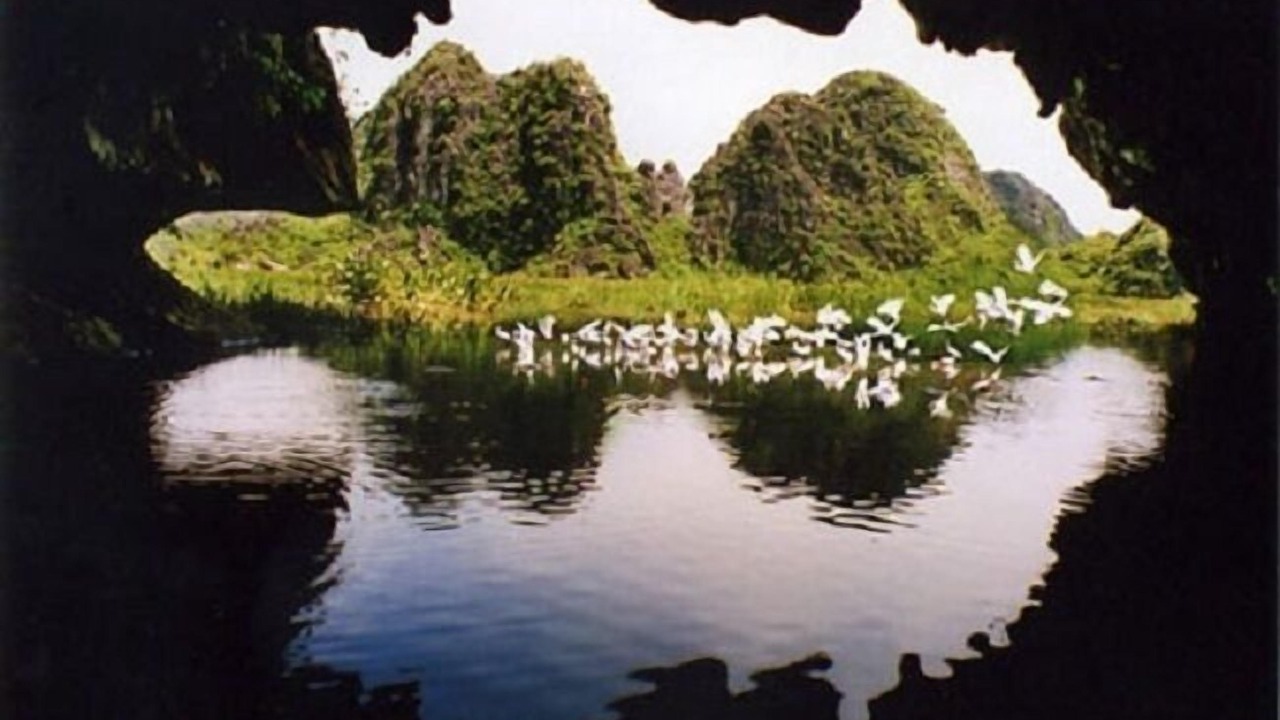Photo of Others in Đong Thanh