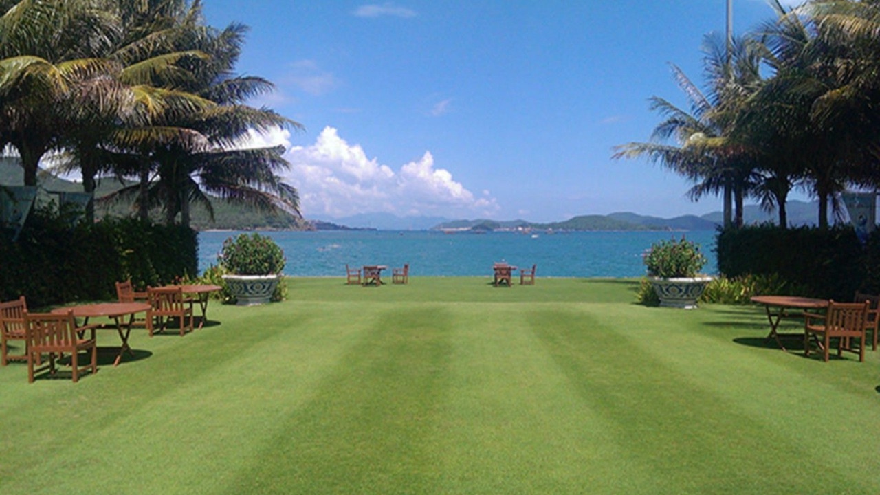Photo of Others in Nha Trang