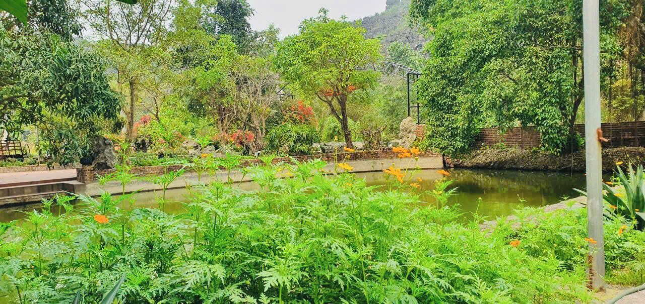 Photo of Outdoor in Hoa Lu