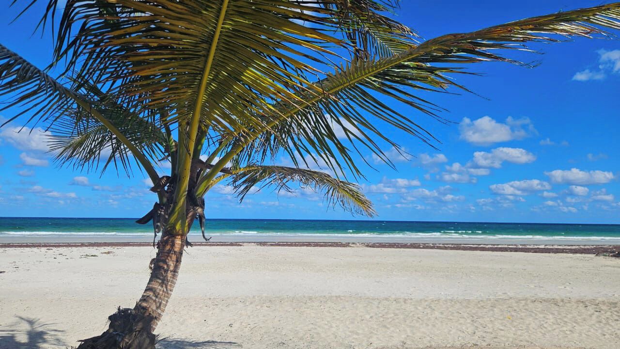 Photo of Bedroom in Mahahual