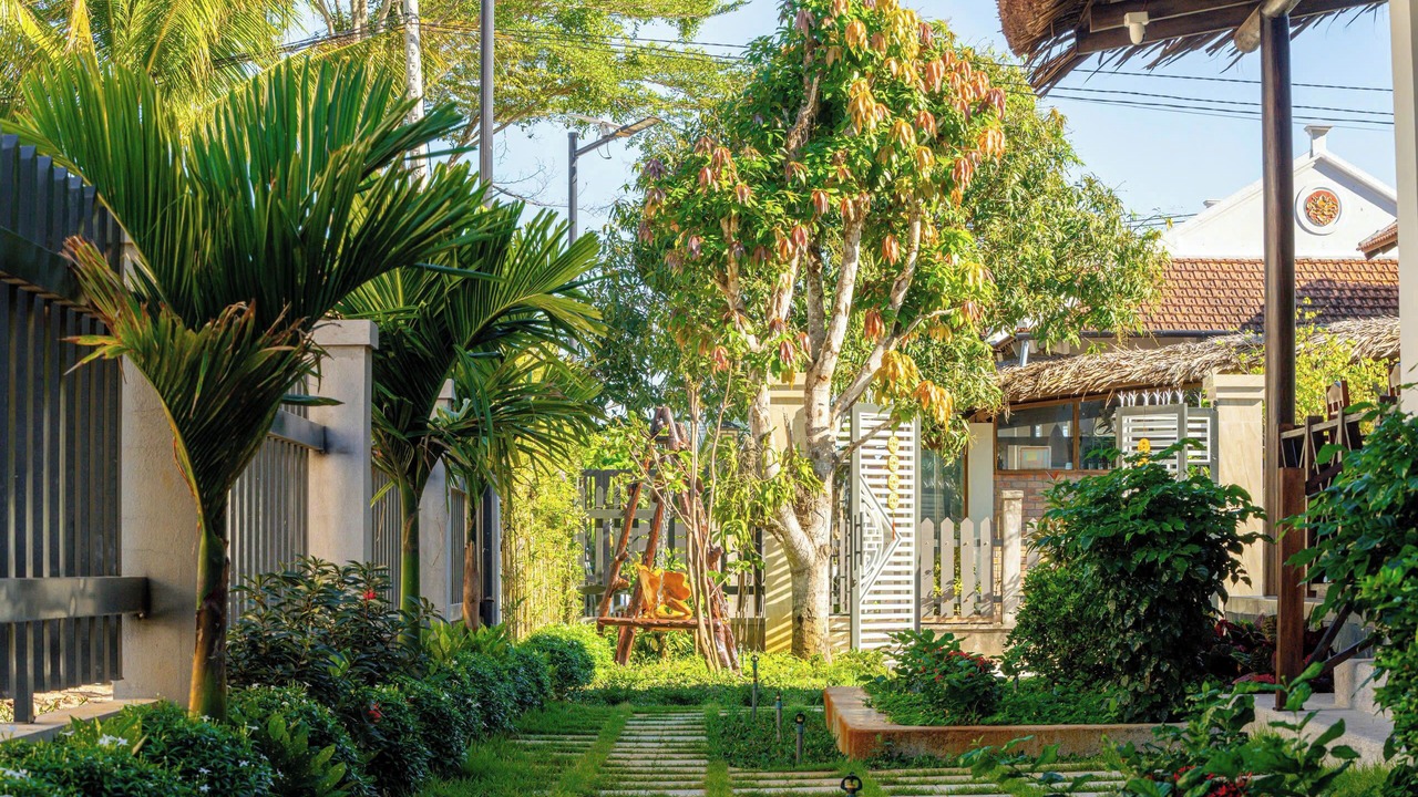 Photo of Outdoor in Duong To
