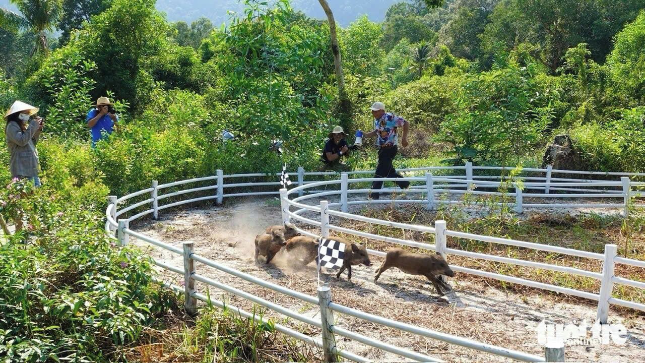 Photo of Others in Ham Ninh