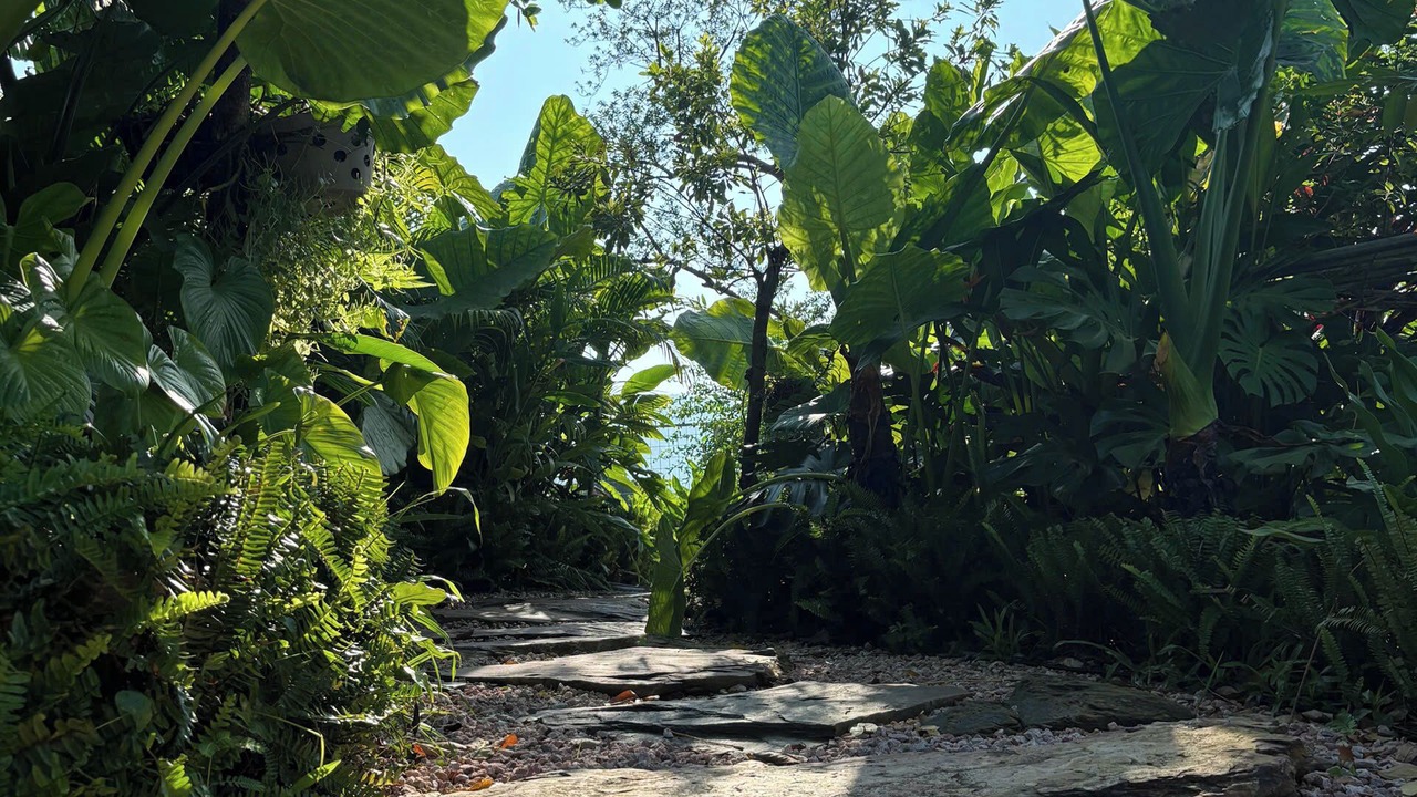 Photo of Outdoor in Soc Son