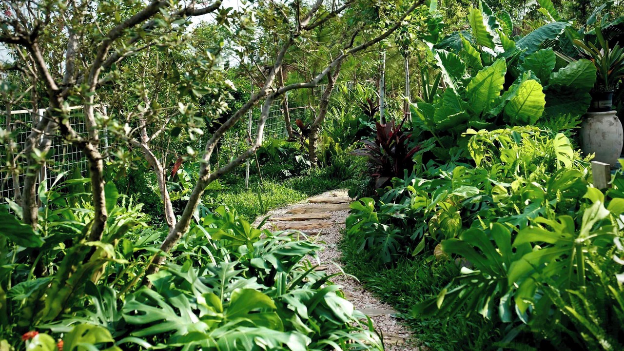 Photo of Outdoor in Soc Son
