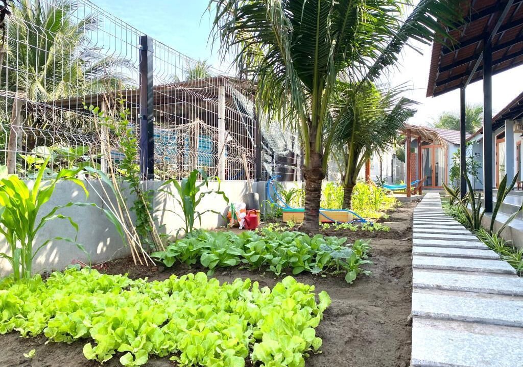 Photo of Outdoor in Chau Thanh