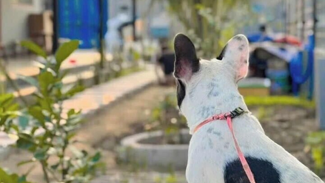 Photo of Others in Chau Thanh