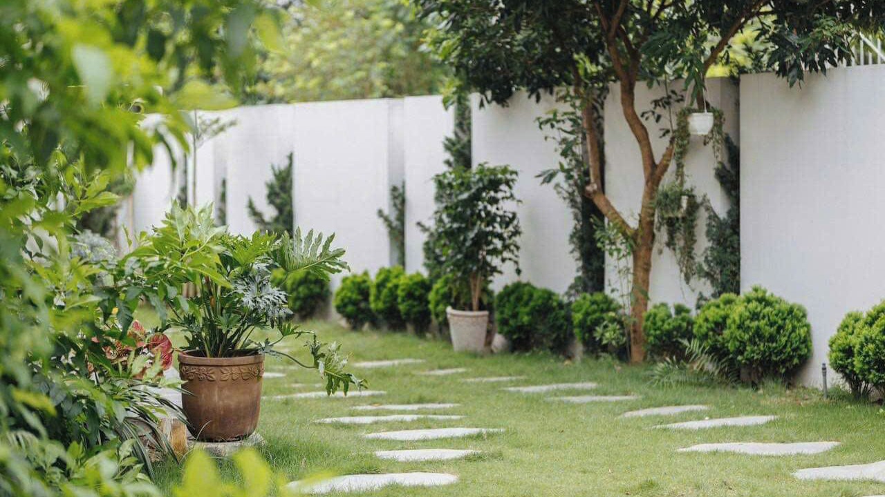 Photo of Outdoor in Soc Son