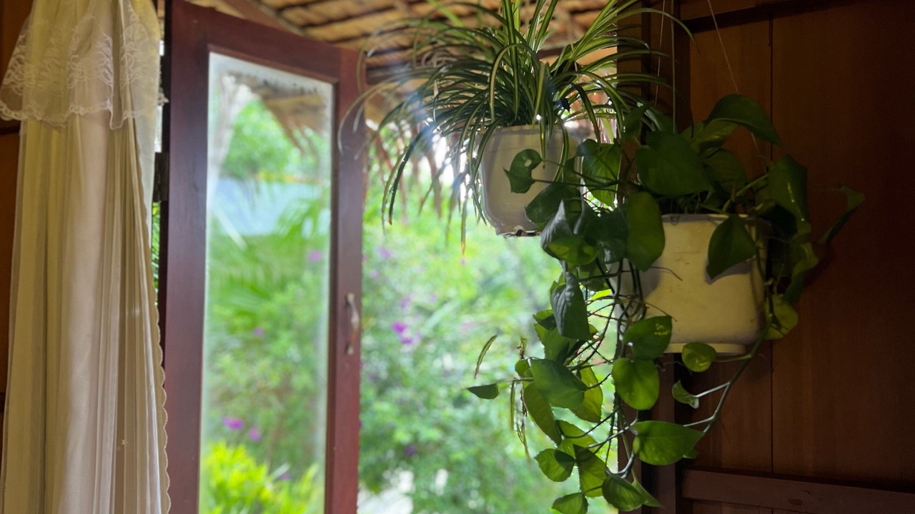 Photo of Patio Balcony in Chau Thanh