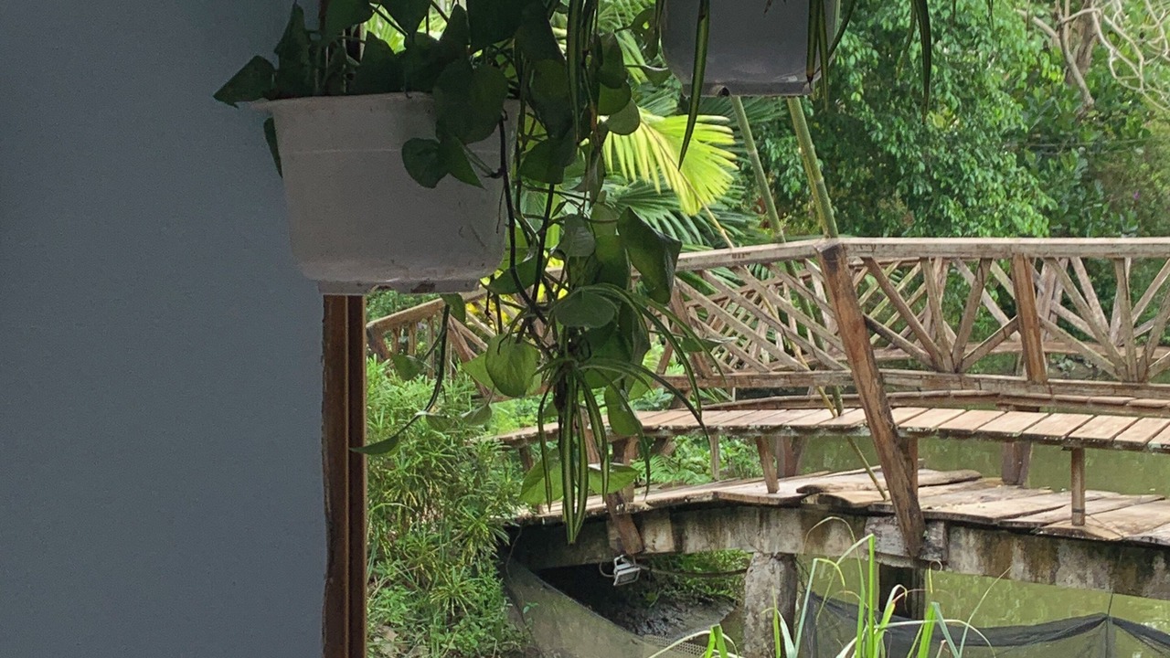 Photo of Patio Balcony in Chau Thanh