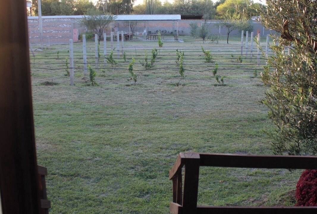 Photo of Patio Balcony in Pabellon de Arteaga