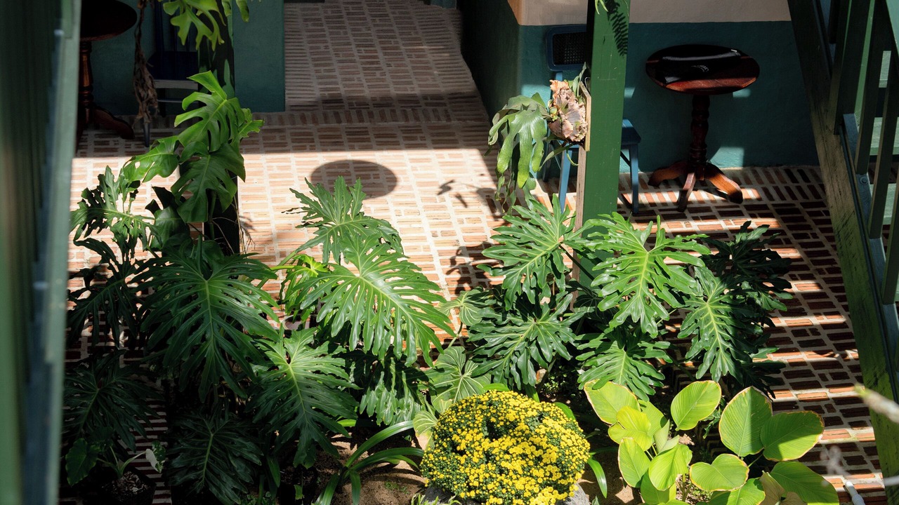 Photo of Outdoor in Dong Hoa