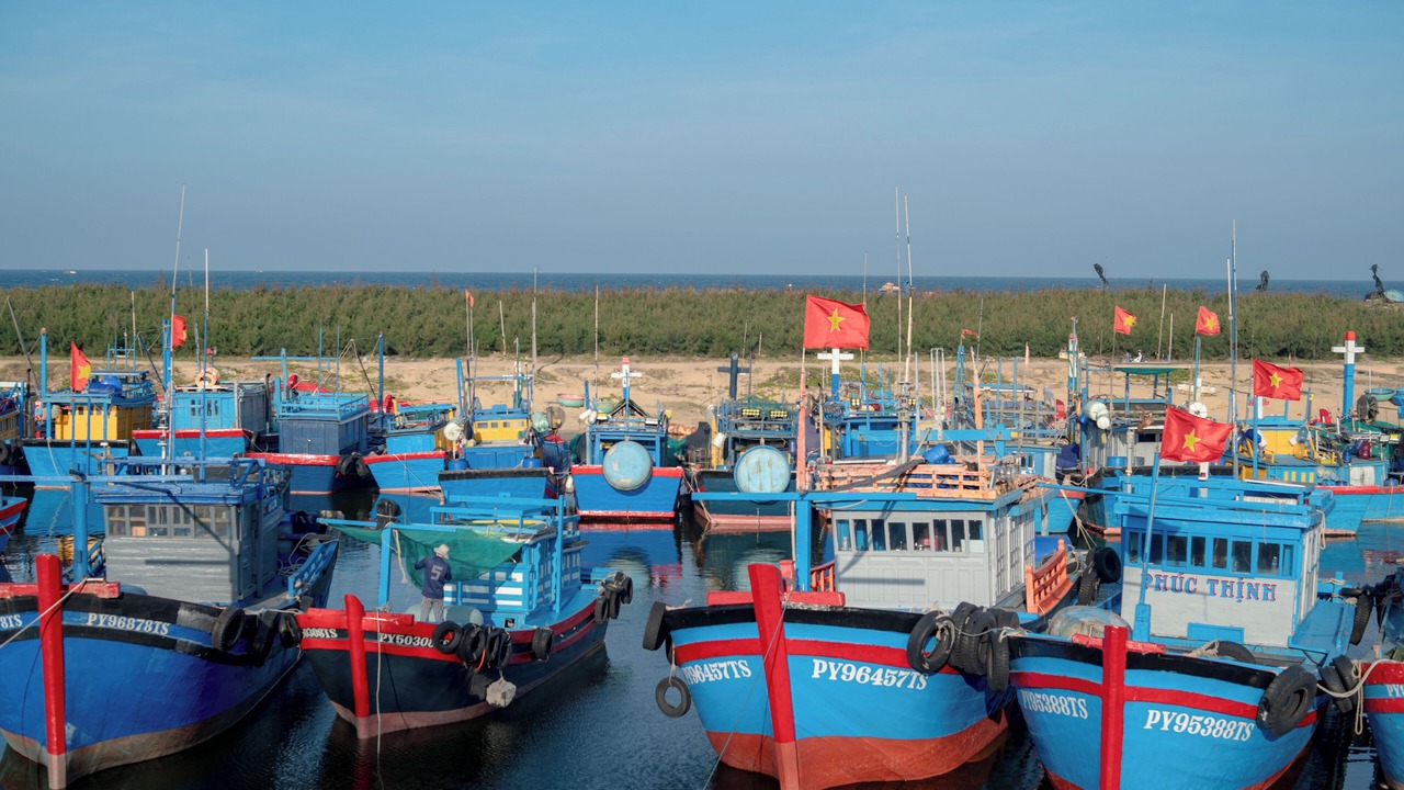 Photo of Outdoor in Dong Hoa