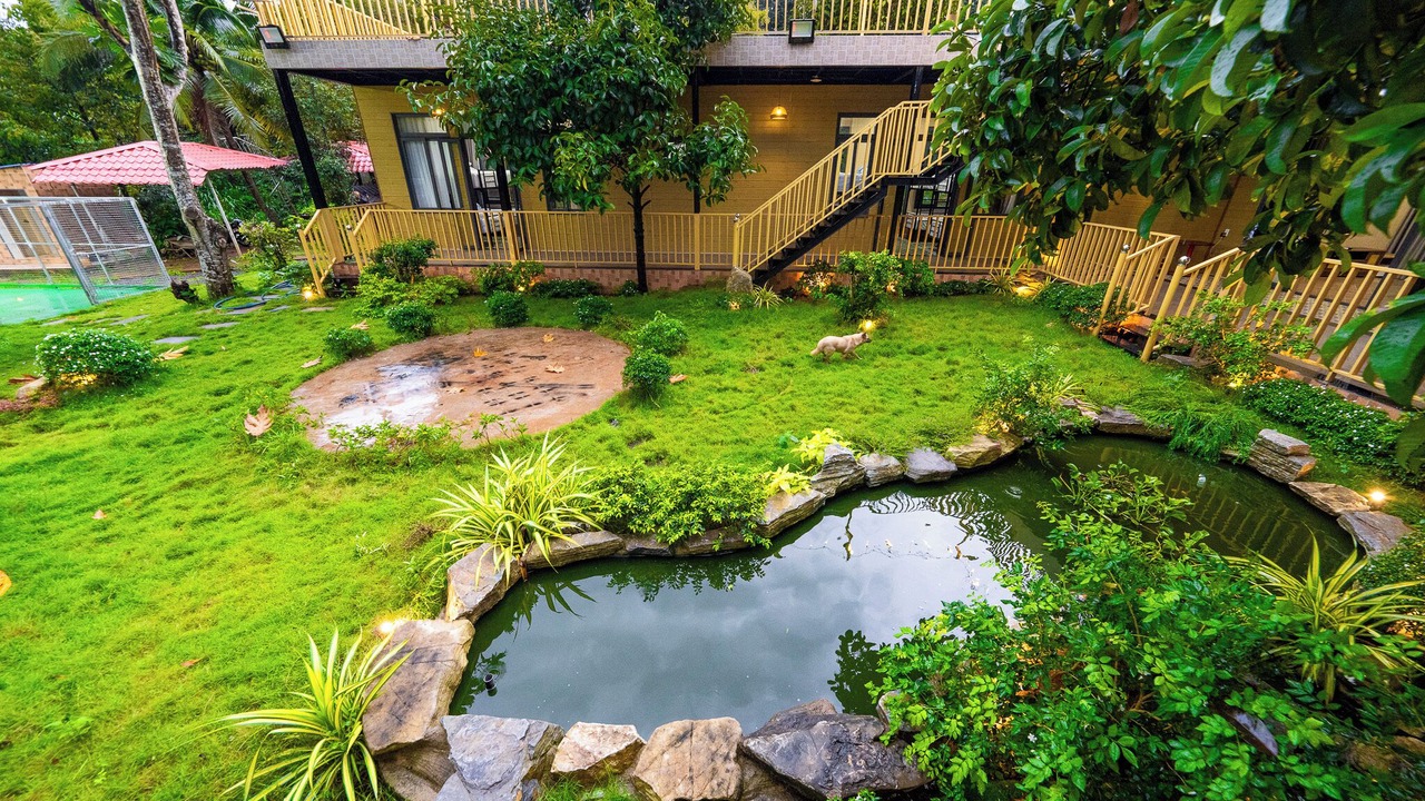 Photo of Outdoor in Mang Yang