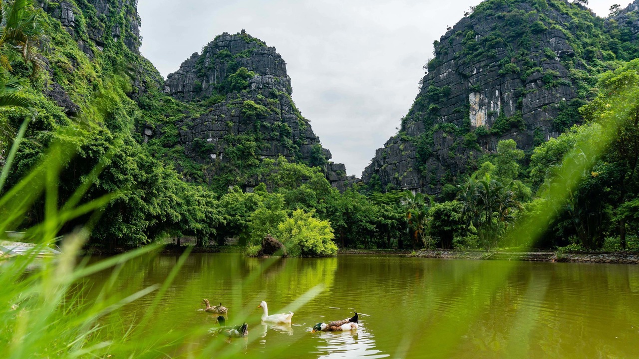 Photo of Others in Hoa Lu
