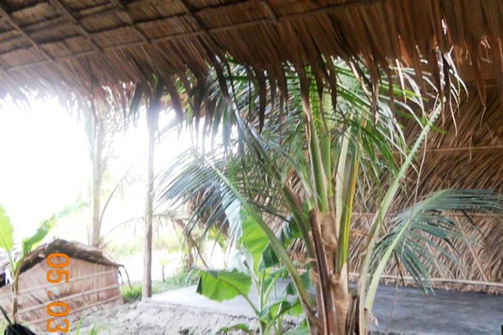 Photo of Outdoor in Vi Thuy