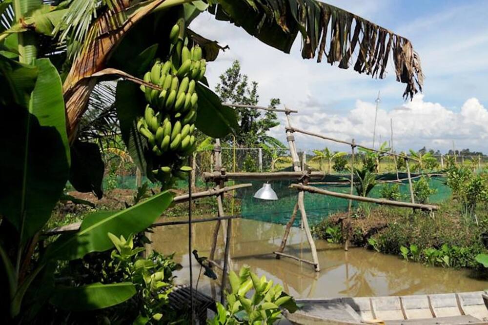 Photo of Outdoor in Vi Thuy