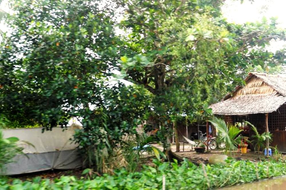 Photo of Outdoor in Vi Thuy