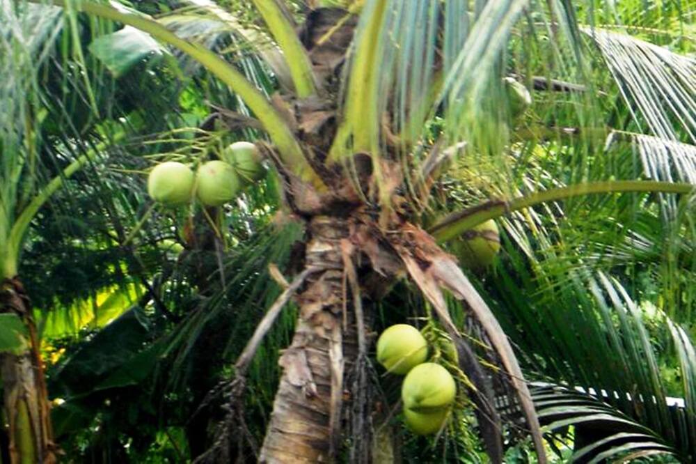 Photo of Outdoor in Vi Thuy
