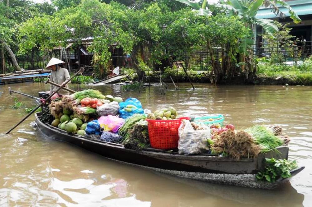 Photo of Outdoor in Vi Thuy
