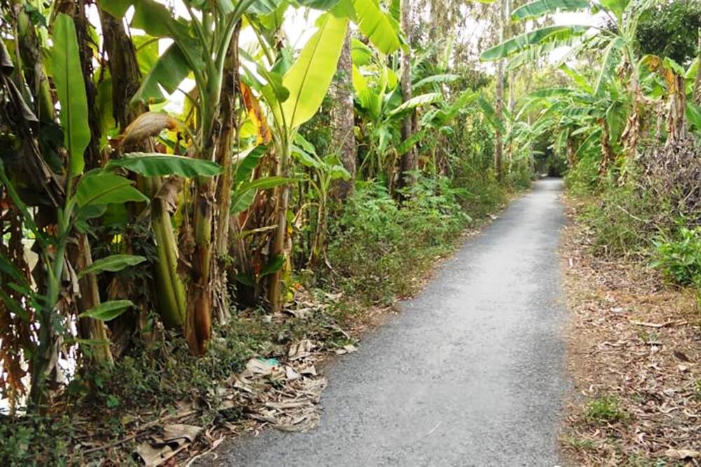 Photo of Outdoor in Vi Thuy