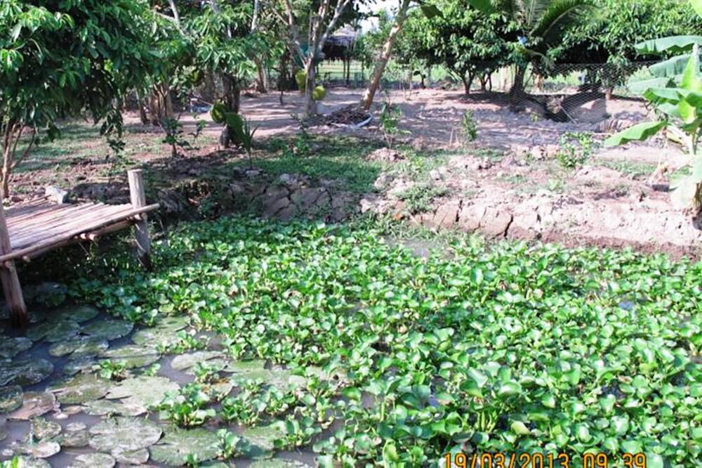 Photo of Outdoor in Vi Thuy