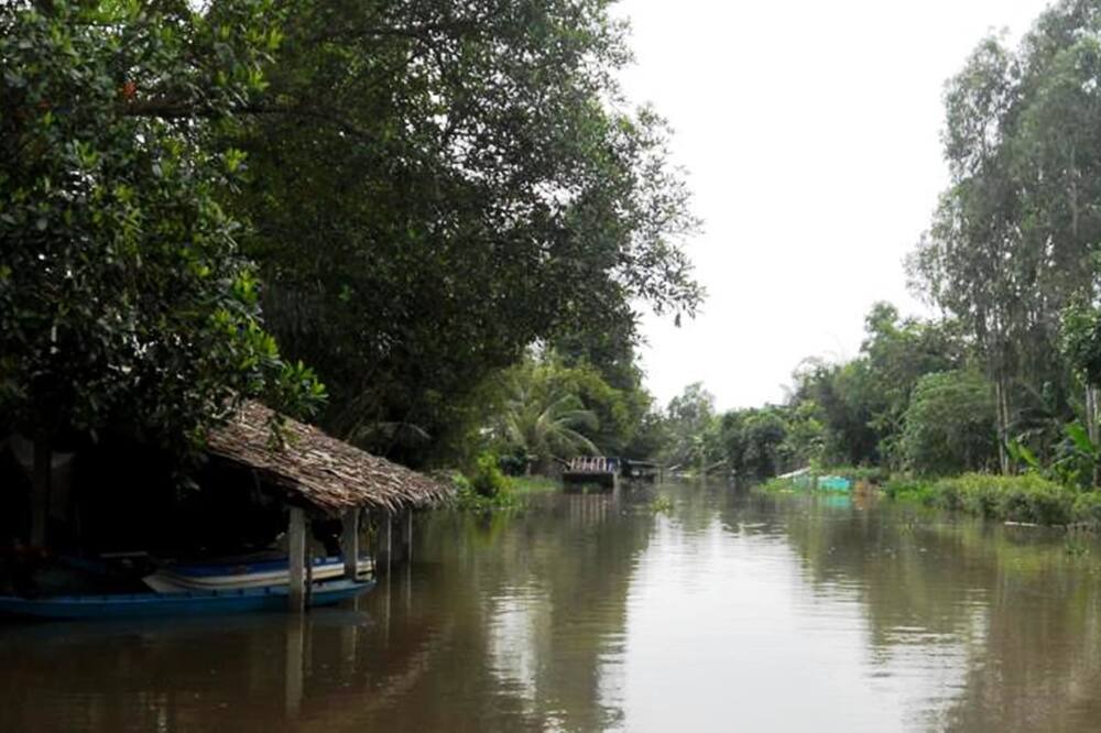 Photo of Outdoor in Vi Thuy