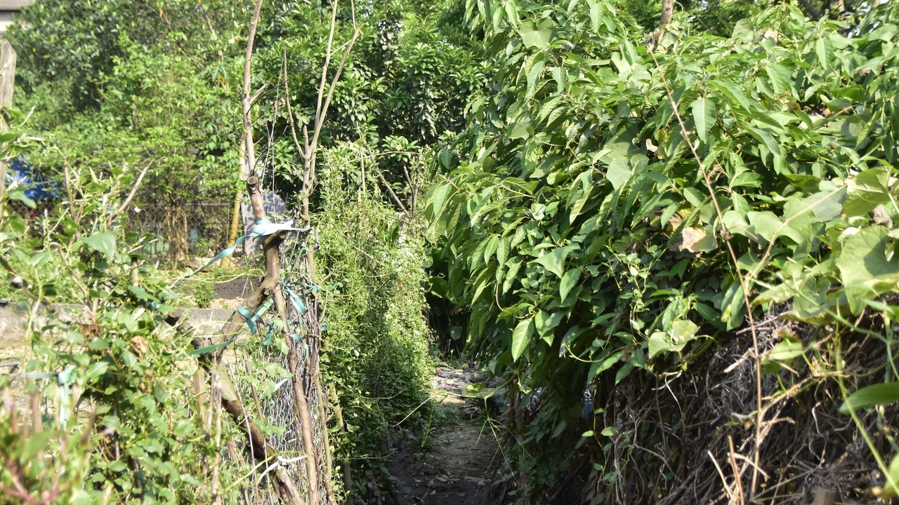 Photo of Outdoor in Gia Vien