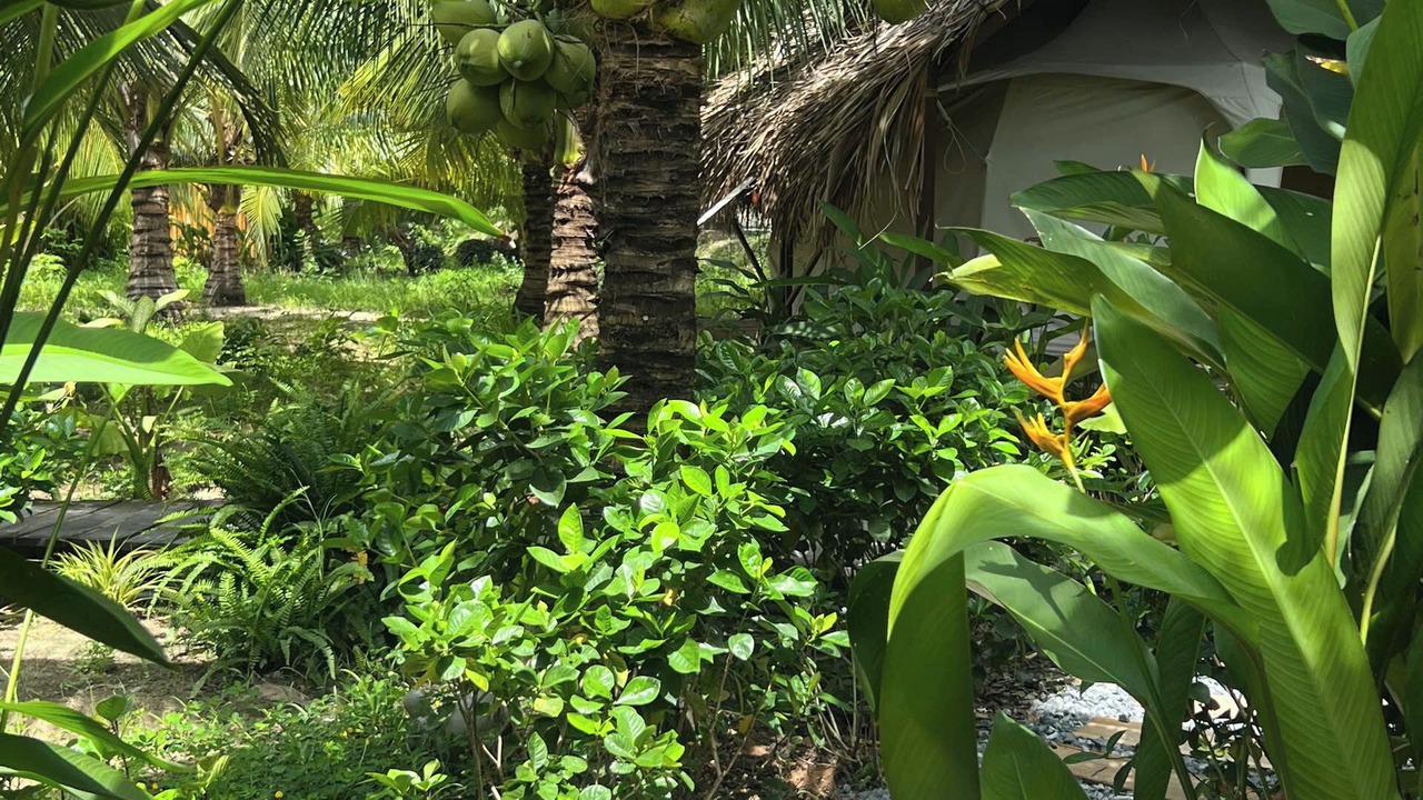 Photo of Outdoor in Ham Tan