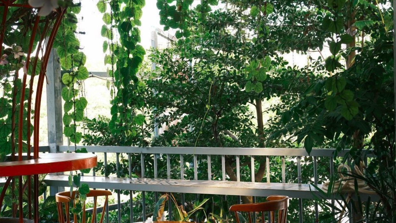 Photo of Outdoor in Rach Gia