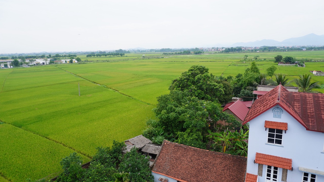 Photo of Outdoor in Soc Son