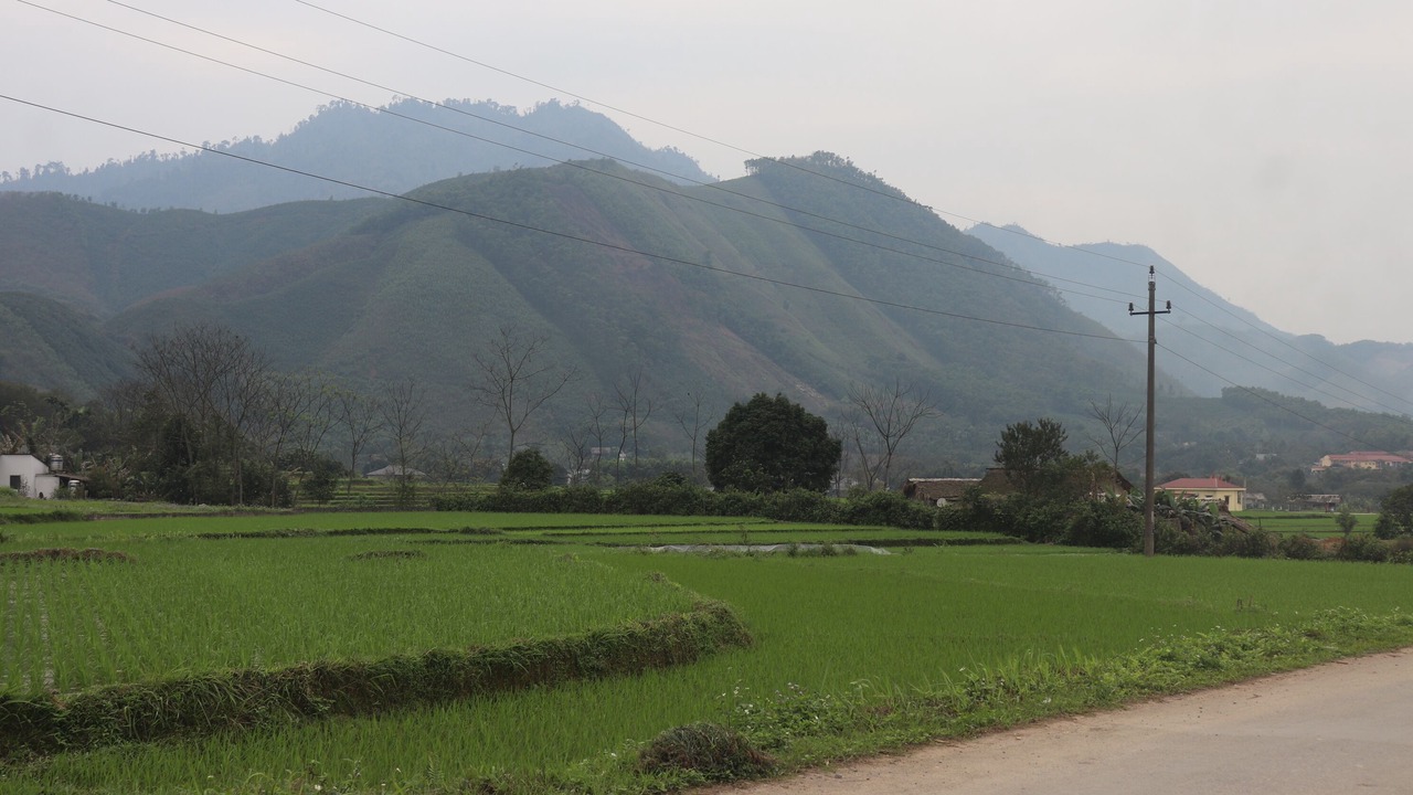 Photo of Outdoor in Tran Yen