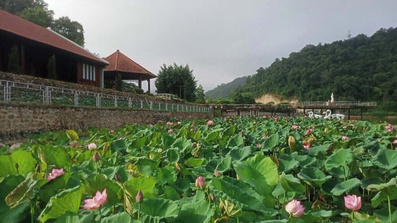Photo of Outdoor in Dien Bien