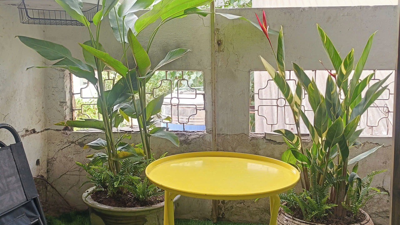 Photo of Outdoor in Hang Bac